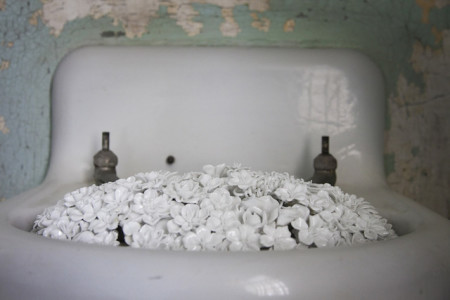 Ai Weiwei, Blossom, 2014 (installation detail, Alcatraz Hospital)