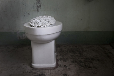 Ai Weiwei, Blossom, 2014 (installation detail, Alcatraz Hospital)