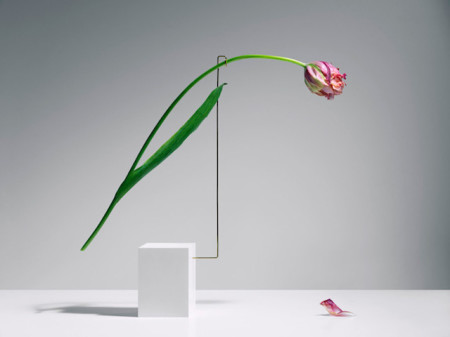 flower_sculptures_6