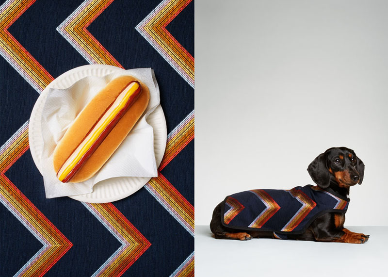 Photographer Jess Bonham pairs dogs with hotdogs