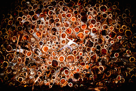 Inspiring-Photography-by-Tyler-Shields-20