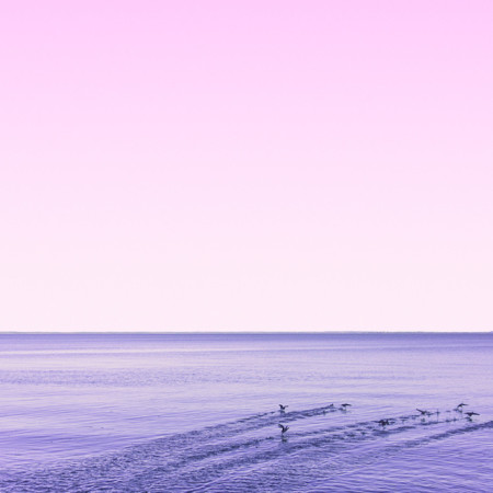Candy-Colored-Minimalism-Photography-21-matt-crump