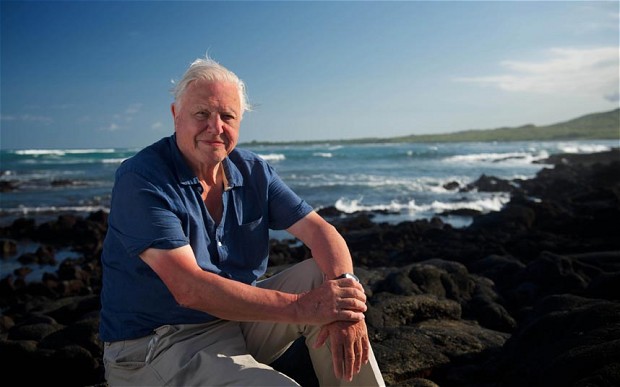 Now out on DVD: David Attenborough’s Kingdom of Plants & Galapagos