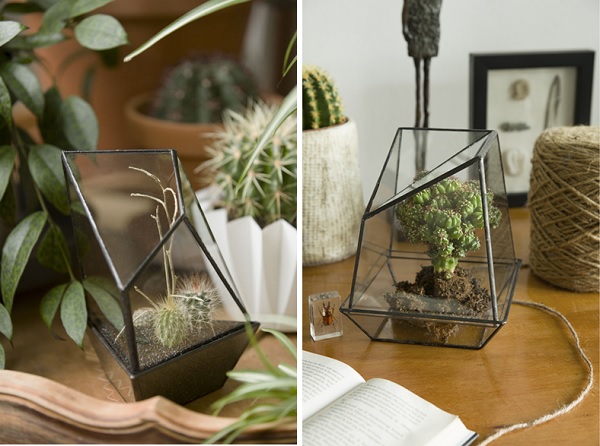 Use these miniature glass cabinets from Urban Jungles to showcase beauty